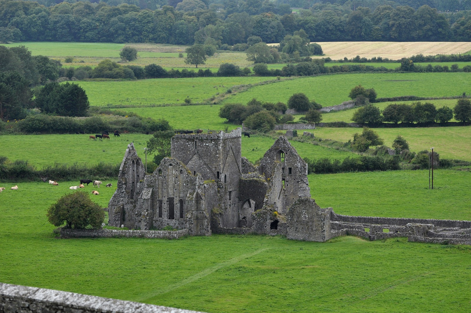 Irlandia to nie tylko zmywak