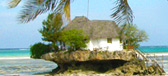 Afryka globtroterów 