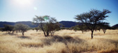 Namibia - nieodkryty raj