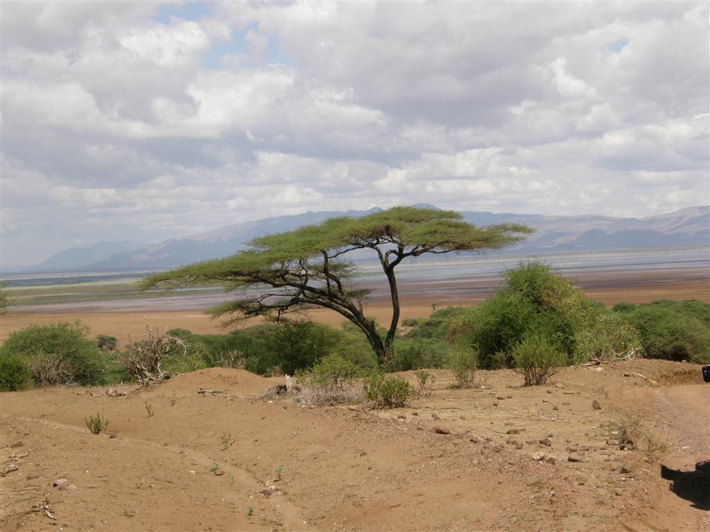 Park Lake Manyara