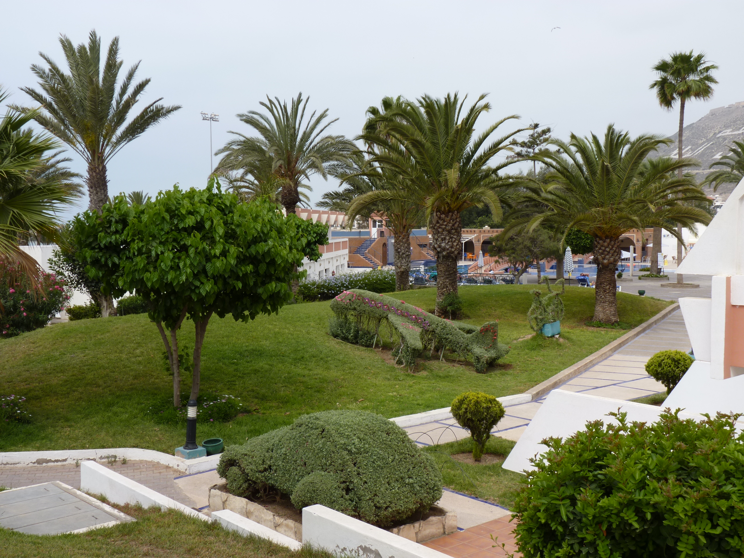 Hotel Al Moggar Garden Beach - ogród
