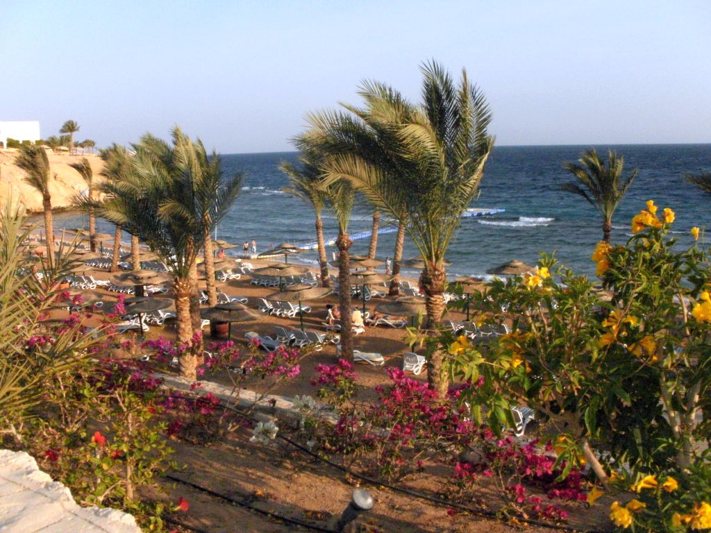 Hotel Continental Plaza Beach - 