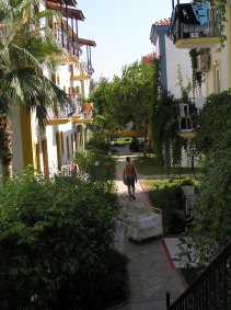 Hotel Karbel - roślinnośc na terenie hotelu
