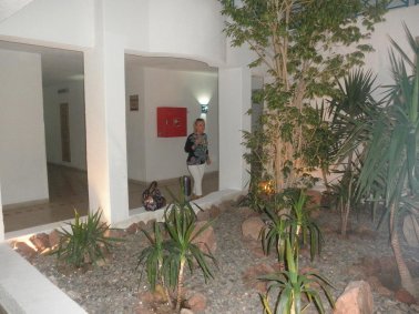 Hotel Sharm Cliff - W hotelu duzo zieleni