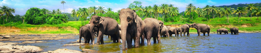 Sri Lanka Temperatury Powietrza I Wody Pogoda Klimat